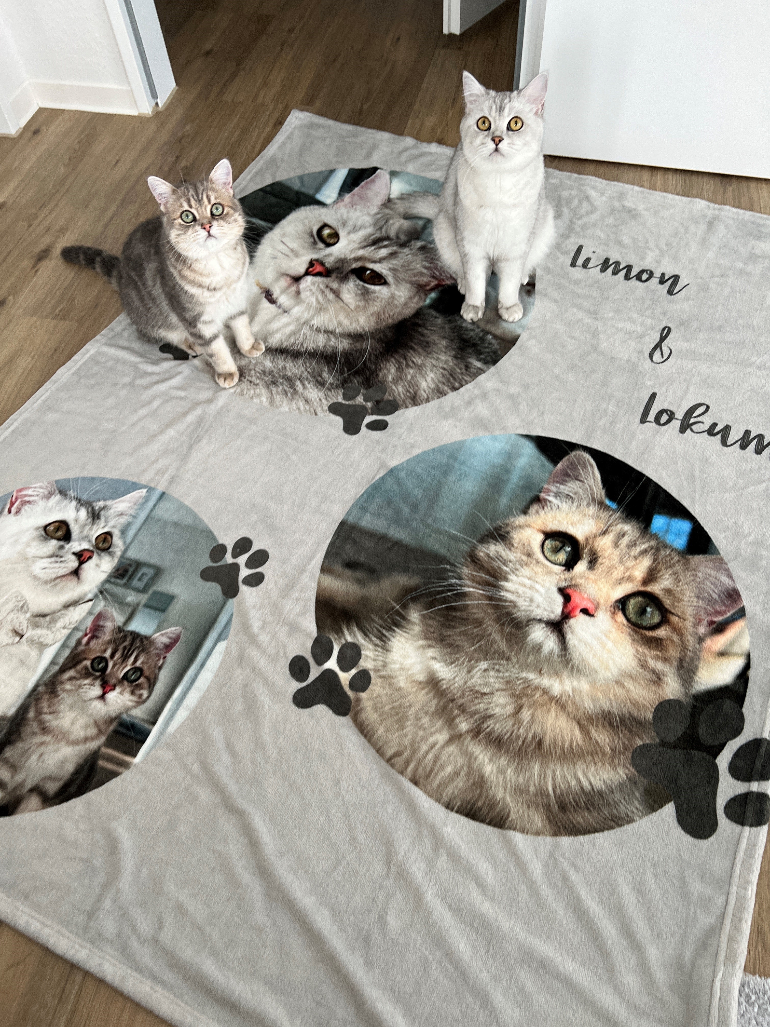 Kuscheldecke 140 x 200 cm, selbst gestalten