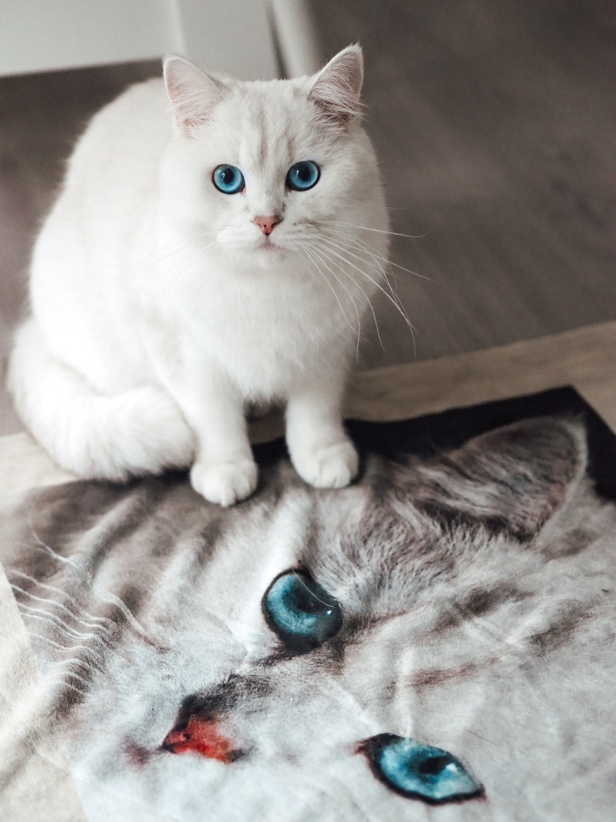 Kuscheldecke 140 x 200 cm, selbst gestalten